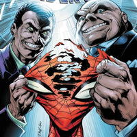 Amazing Spider-man: Shattered Web Vol. 12